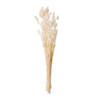 Ramo de Folhas Secas Cru 73cm