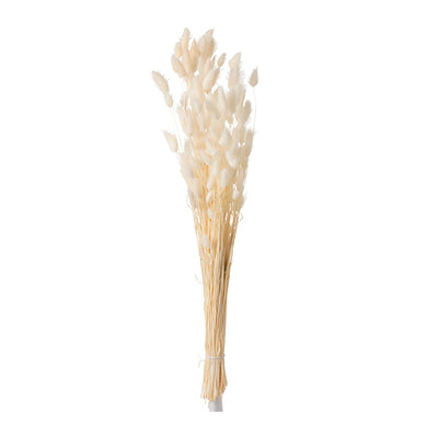 Ramo de Folhas Secas Cru 73cm