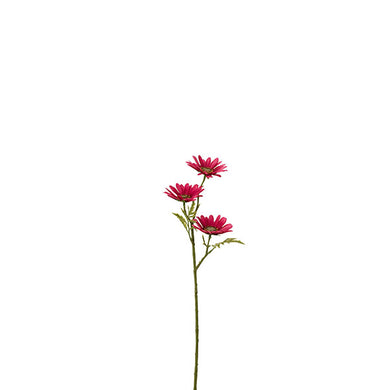 Planta Margarida Fúcsia 45cm