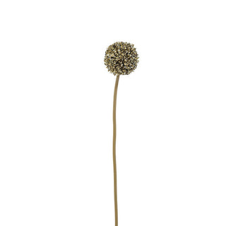 Flor Allium 53cm