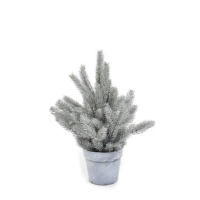 Cachepot C/ Planta Balsam 30cm