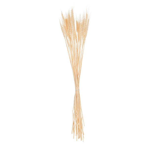 Ramo de Folhas Secas Cru 80cm