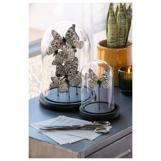 Escultura Borboletas Na Redoma de Vidro 26cm