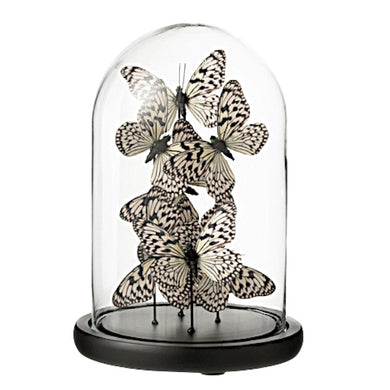 Escultura Borboletas Na Redoma de Vidro 26cm