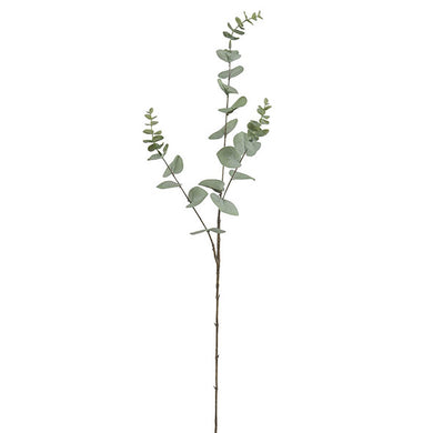 Planta Eucalipto 3p 84cm