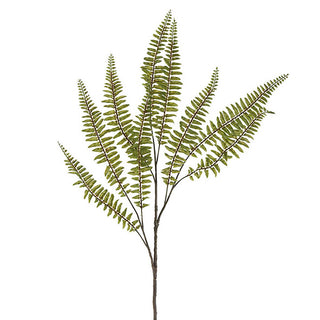 Planta Branch 81cm