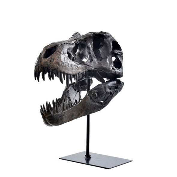 Escultura Cabeca de Dinossauro 26x15x30cm