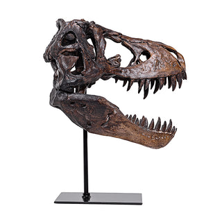 Escultura Cabeca de Dinossauro 26x15x30cm