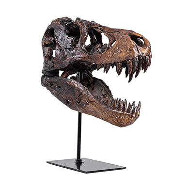 Escultura Cabeca de Dinossauro 26x15x30cm