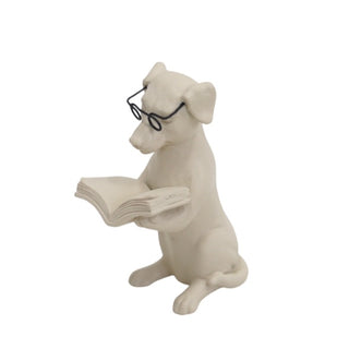 Escultura Cachorro Lendo Livro 13cm