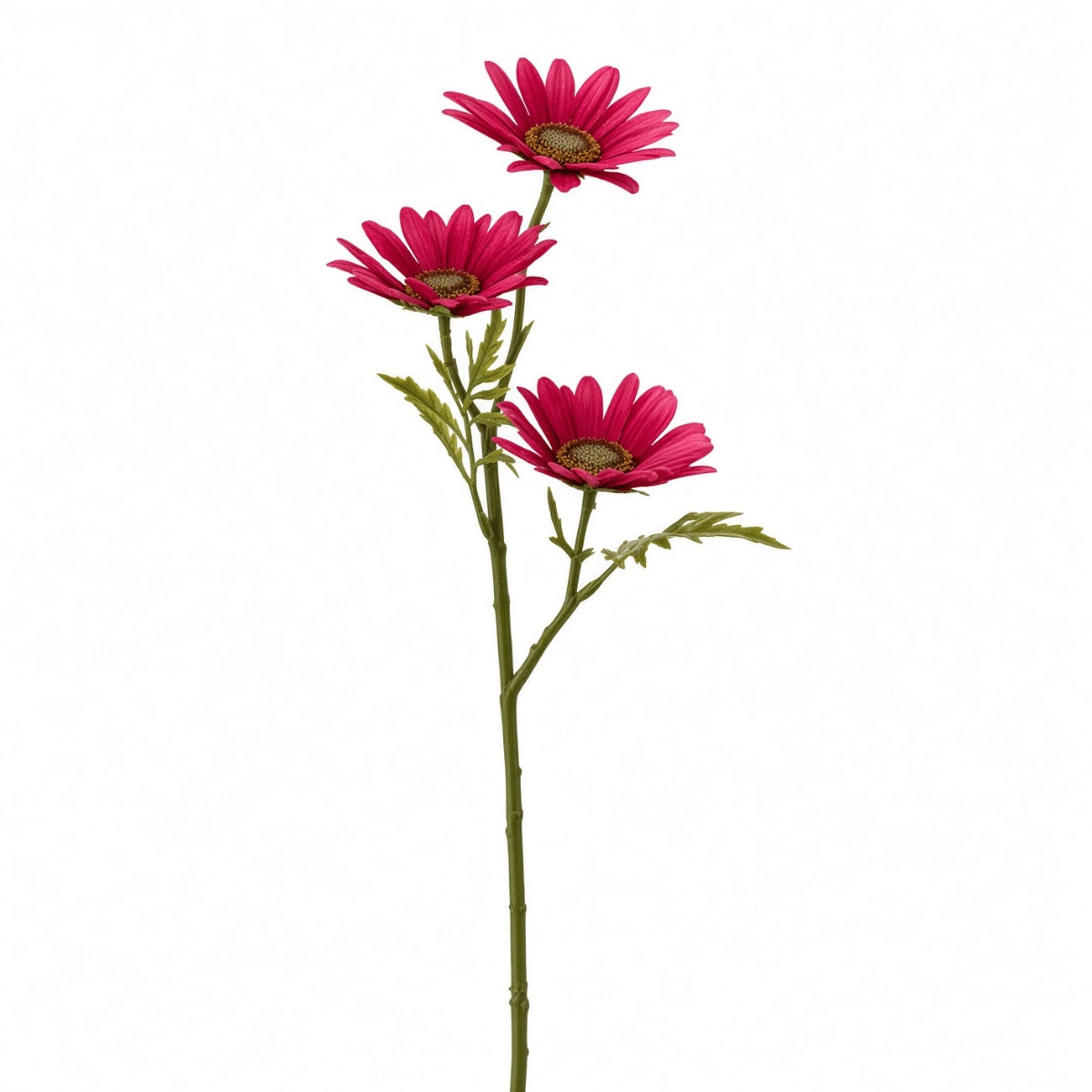 Planta Margarida Fúcsia 45cm
