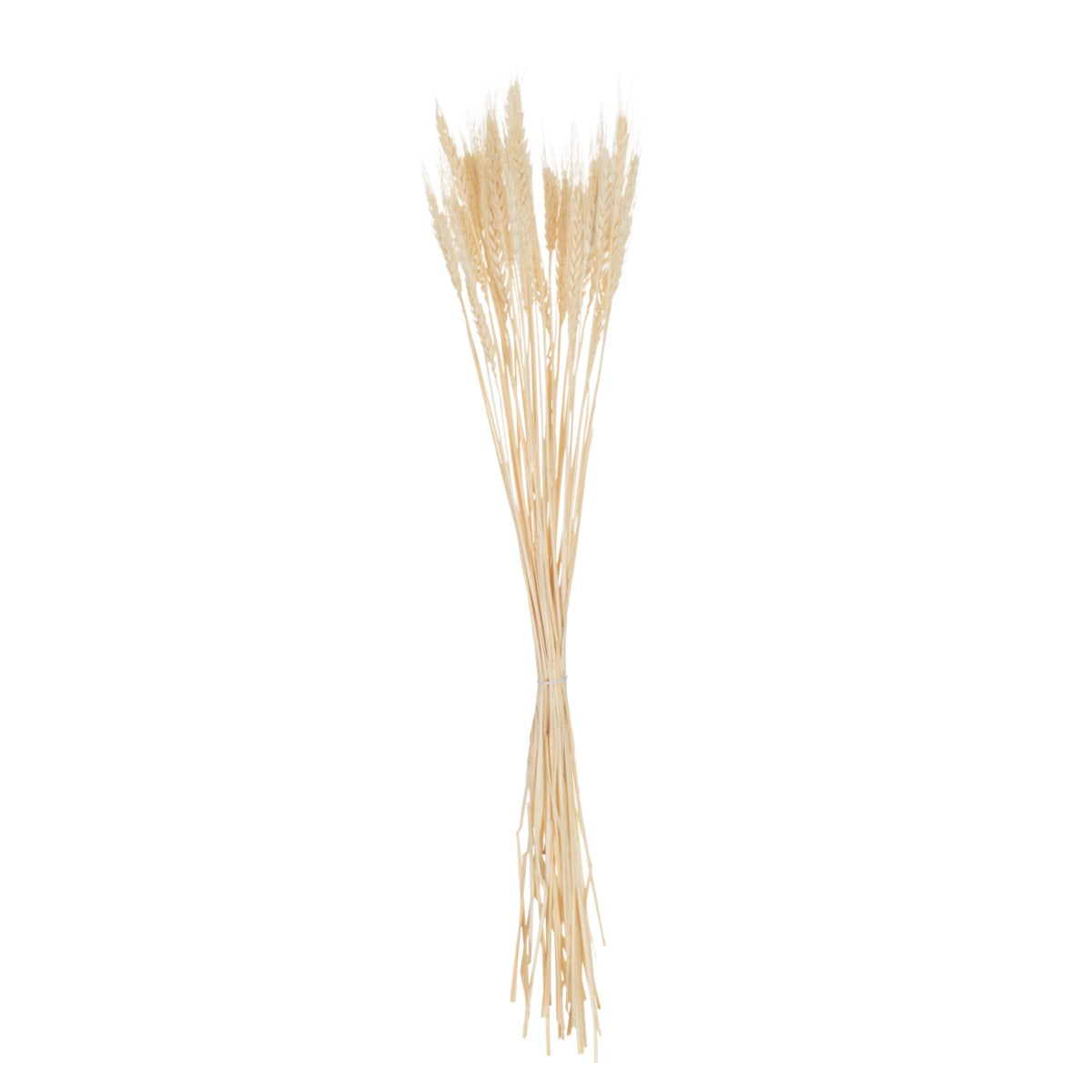 Buque de Plumas Secas Cru 80cm