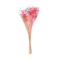 Buque de Gypsophila Fuscia 75cm