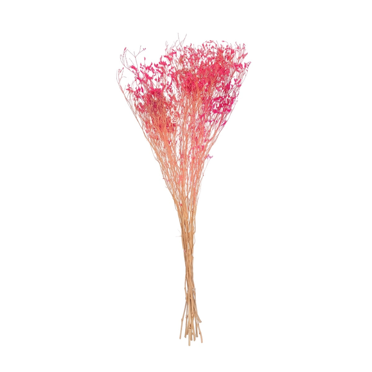 Buque de Gypsophila Fuscia 75cm