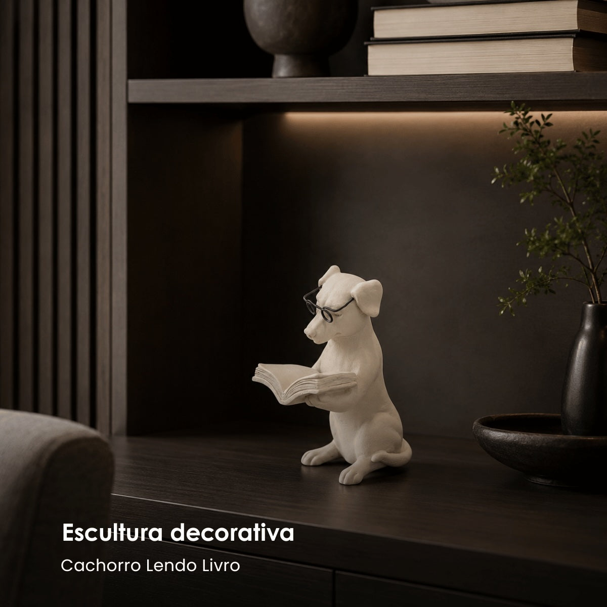 Escultura Cachorro Lendo Livro 13cm